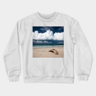 Beach driftwood and dark blue sky Crewneck Sweatshirt